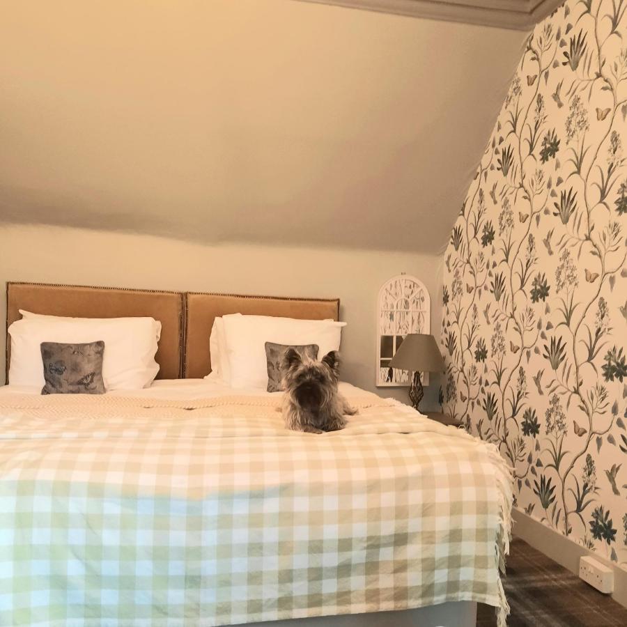Argyle Guest House Tomintoul Zewnętrze zdjęcie